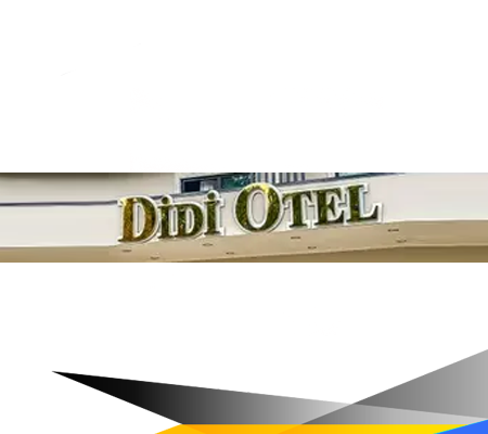 didi